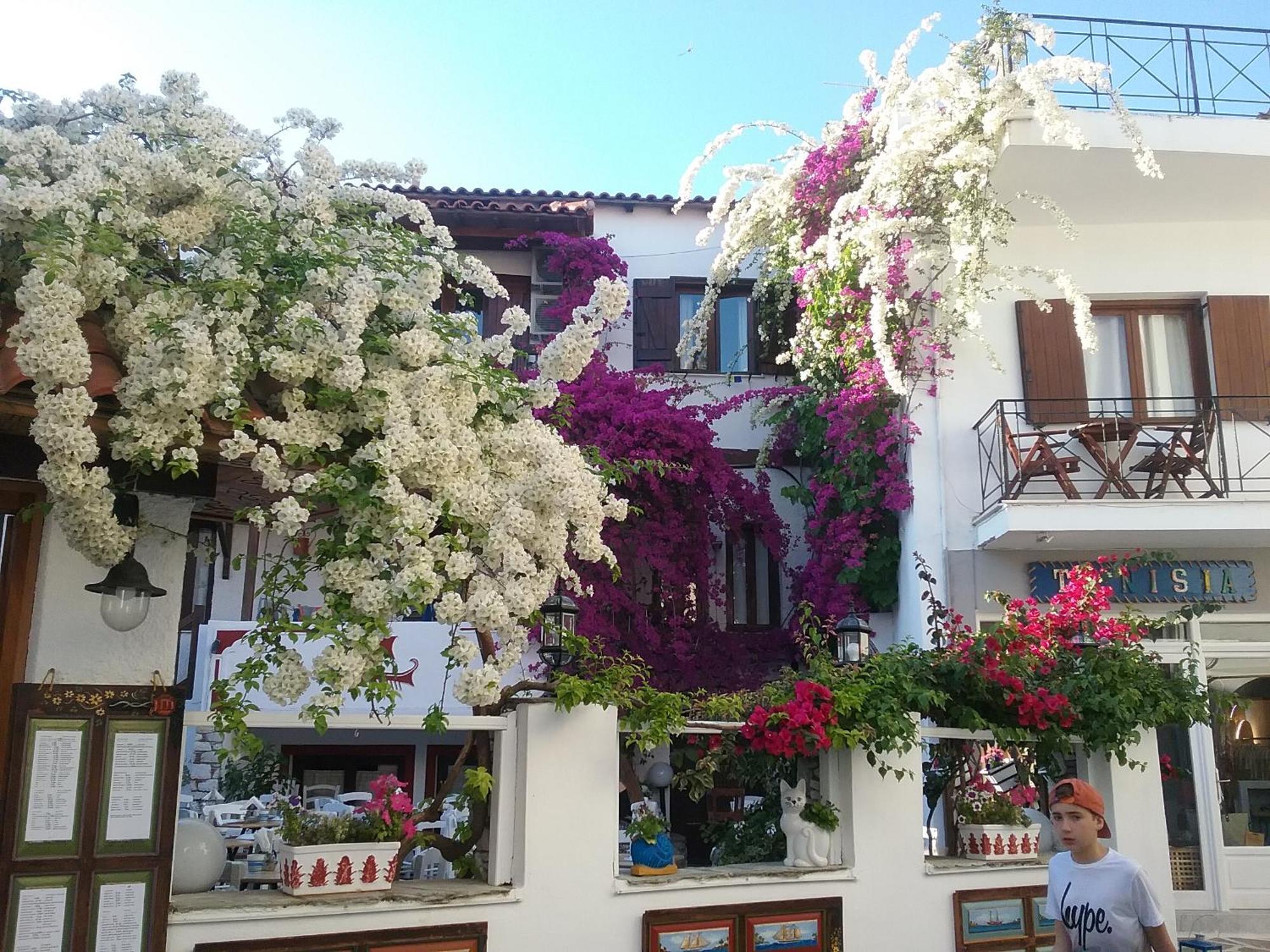Mouria Hotel Skiathos by Eksteriør billede